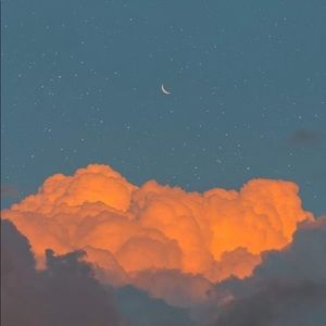 Meet your Posher, Eunice